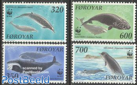 Whales, WWF 4v