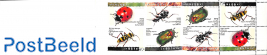 Beetles booklet